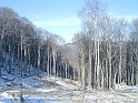 kerek_ko_023