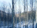 kerek_ko_069