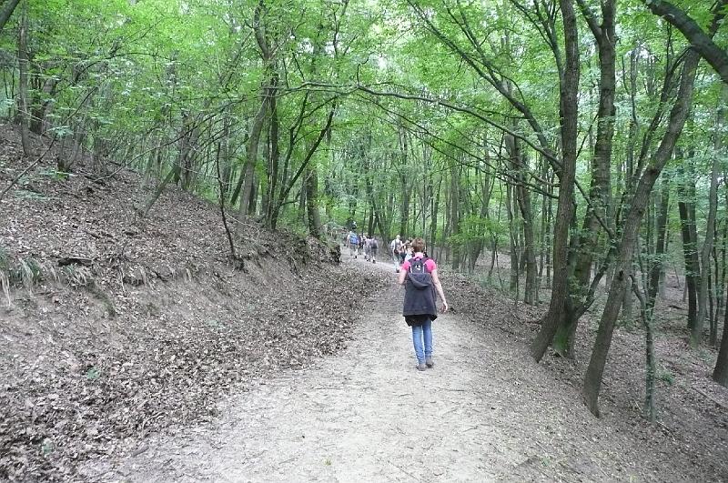 2012.08.11.053.jpg