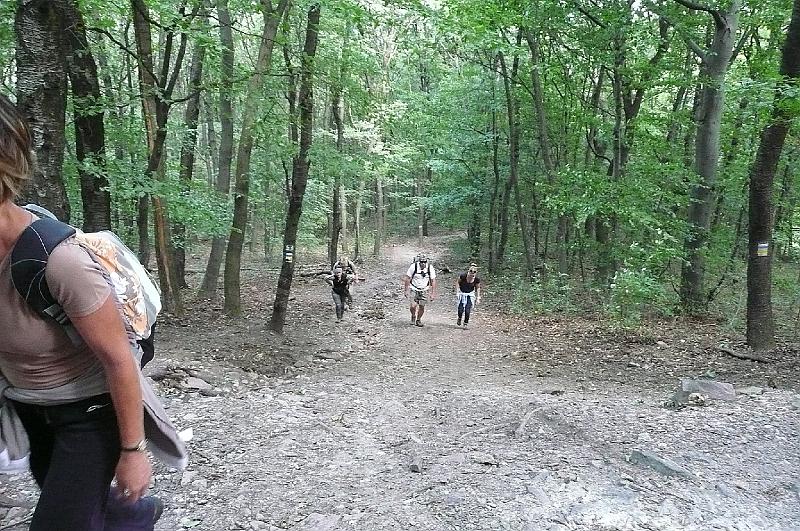 2012.08.11.071.jpg