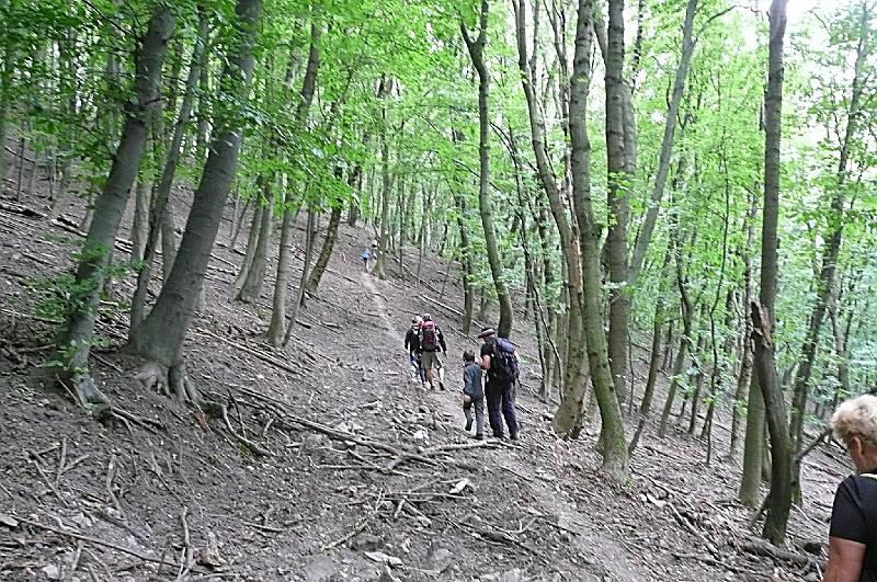 2012.08.11.153.jpg
