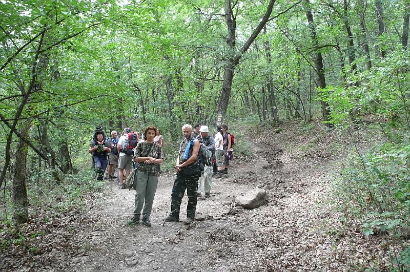 2012.08.11.238.jpg