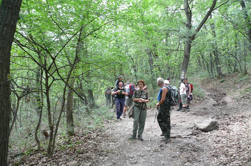 2012.08.11.239.jpg