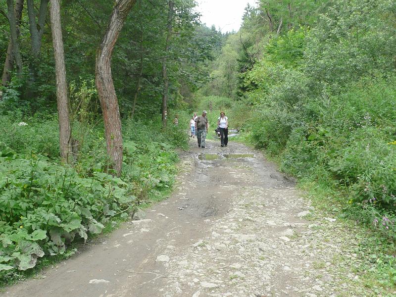 P1080751.JPG