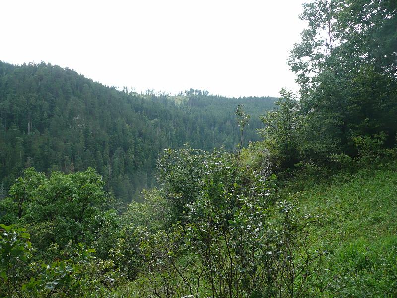 P1080755.JPG