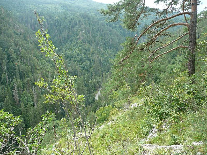 P1080779.JPG