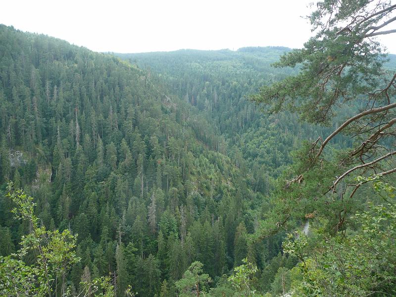 P1080780.JPG