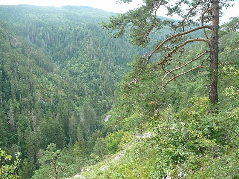 P1080783.JPG