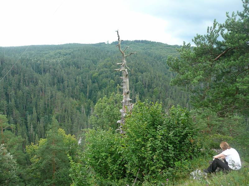 P1080789.JPG
