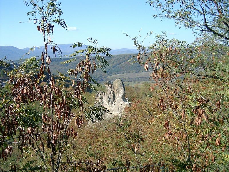 szate034.jpg