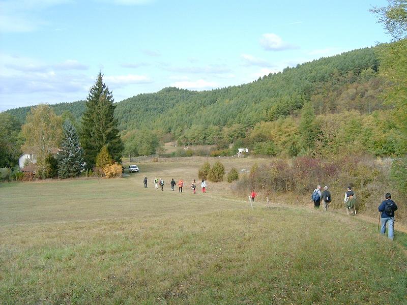 szate077.jpg