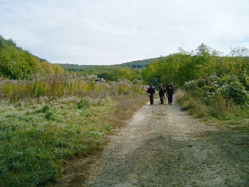 szate082.jpg