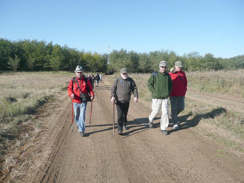 20111016027.jpg