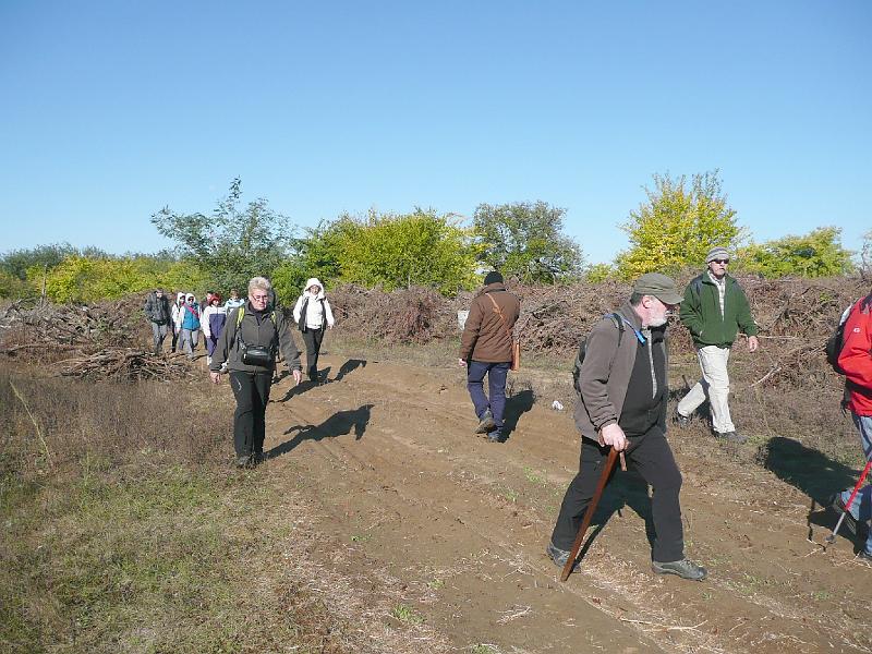20111016029.jpg