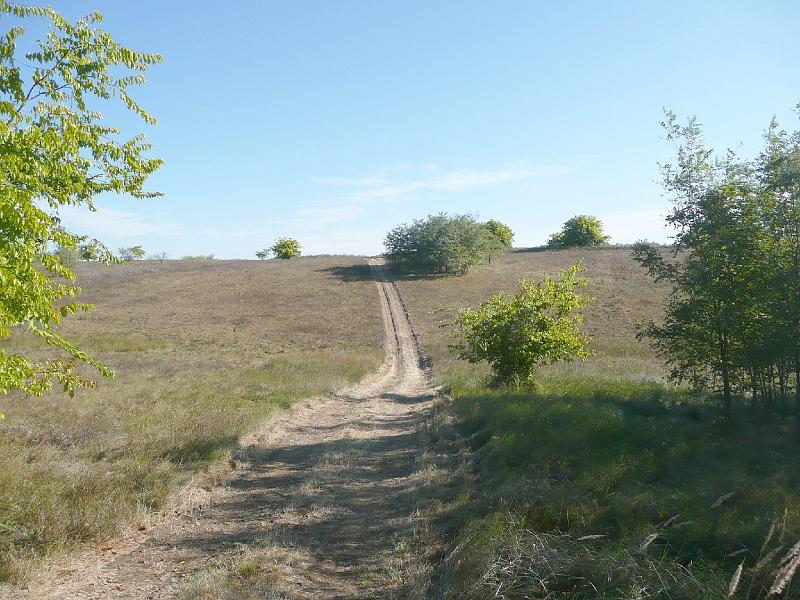 20111016032.jpg