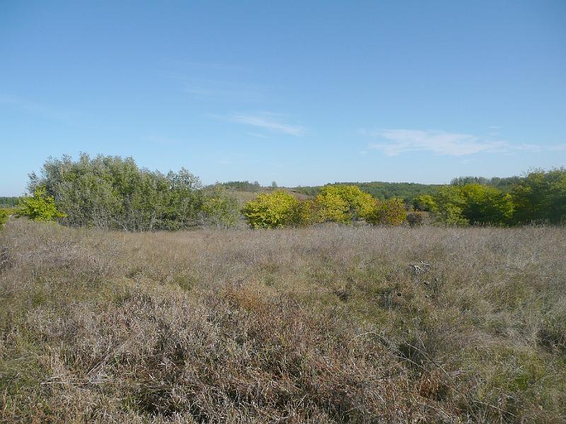 20111016033.jpg