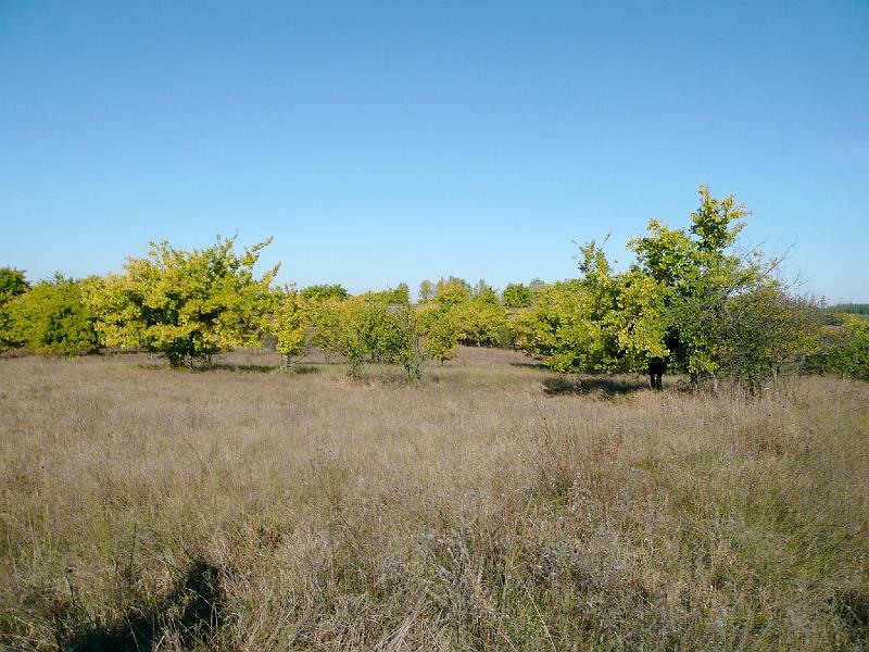 20111016035.jpg