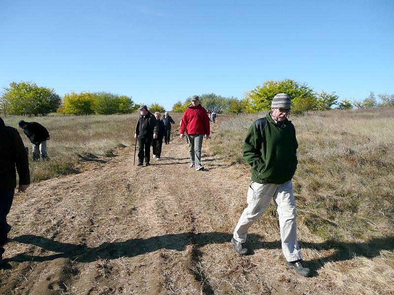 20111016036.jpg