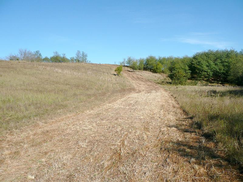 20111016038.jpg