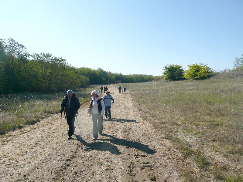20111016039.jpg