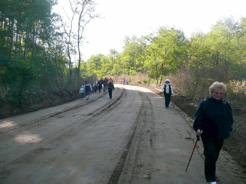 20111016053.jpg