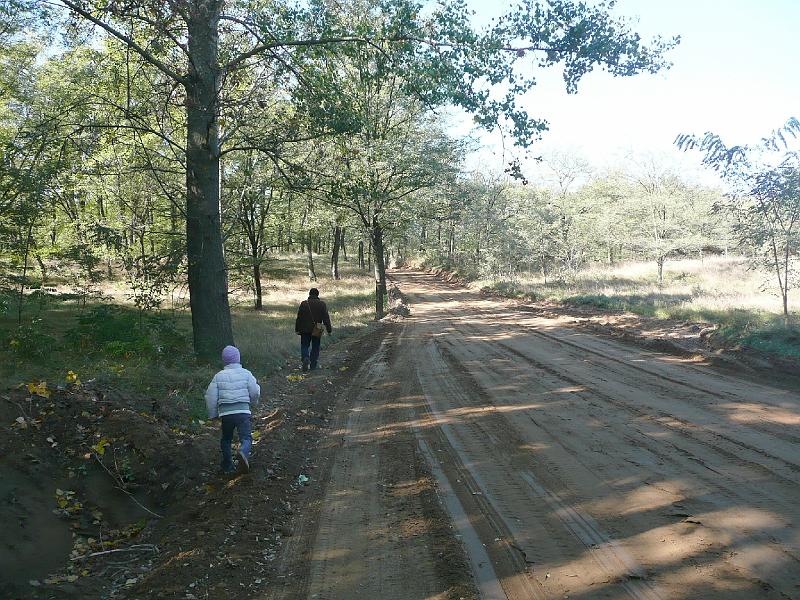 20111016060.jpg