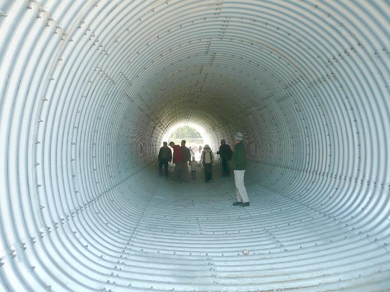 20111016074.jpg