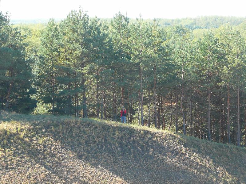 20111016077.jpg
