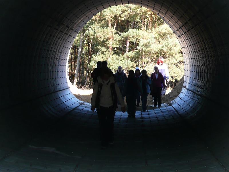 20111016084.jpg