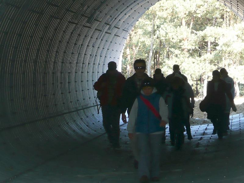 20111016085.jpg
