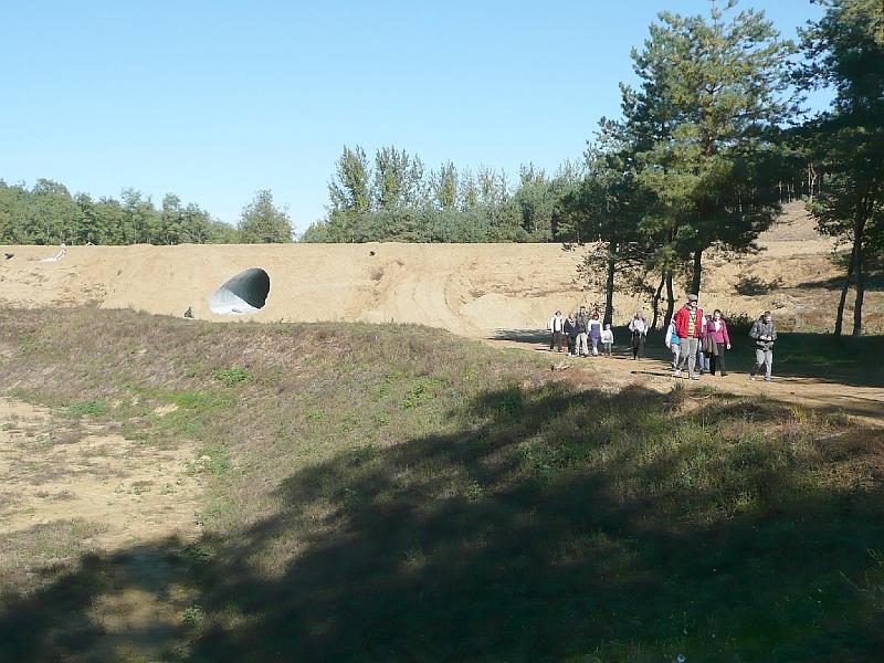 20111016087.jpg