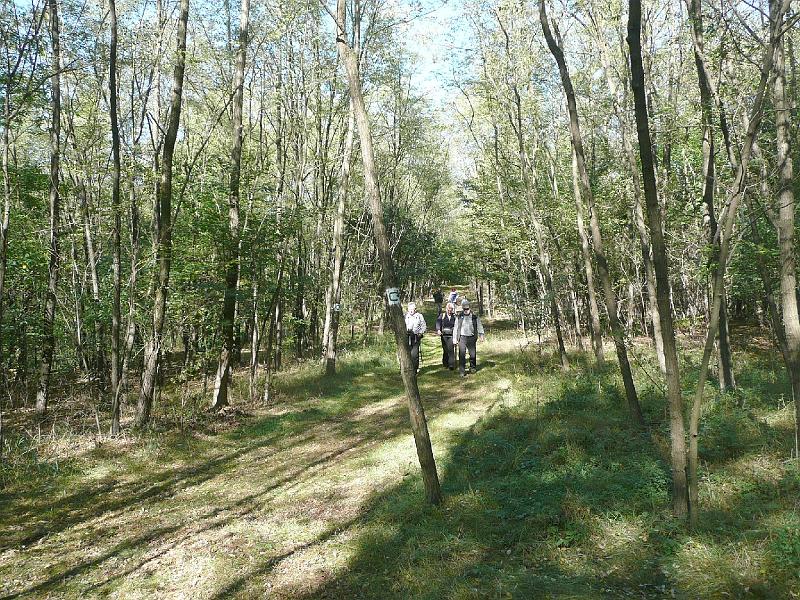 20111016100.jpg