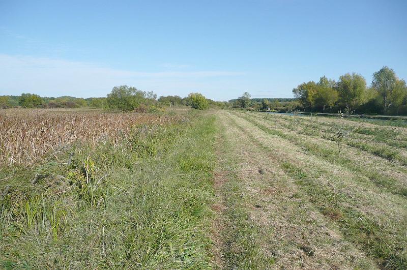 20111016154.jpg