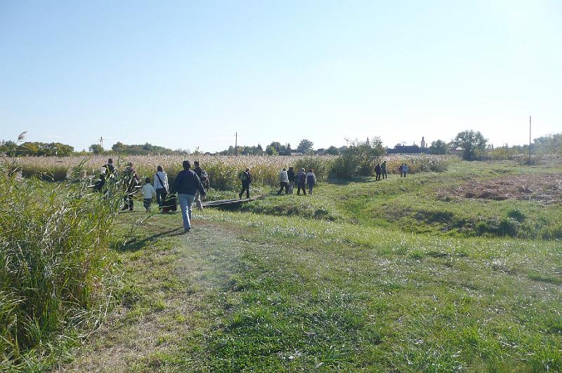 20111016156.jpg