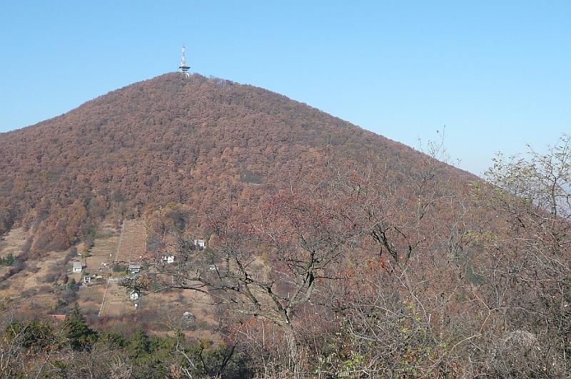 2011.11.12._062.jpg