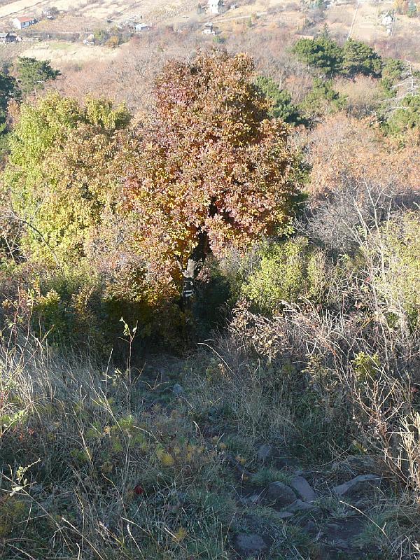 2011.11.12._065.jpg