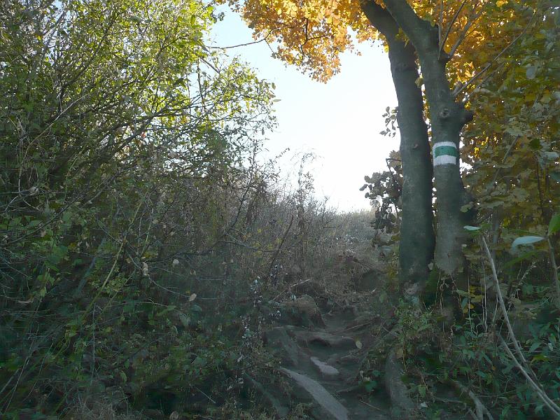 2011.11.12._068.jpg