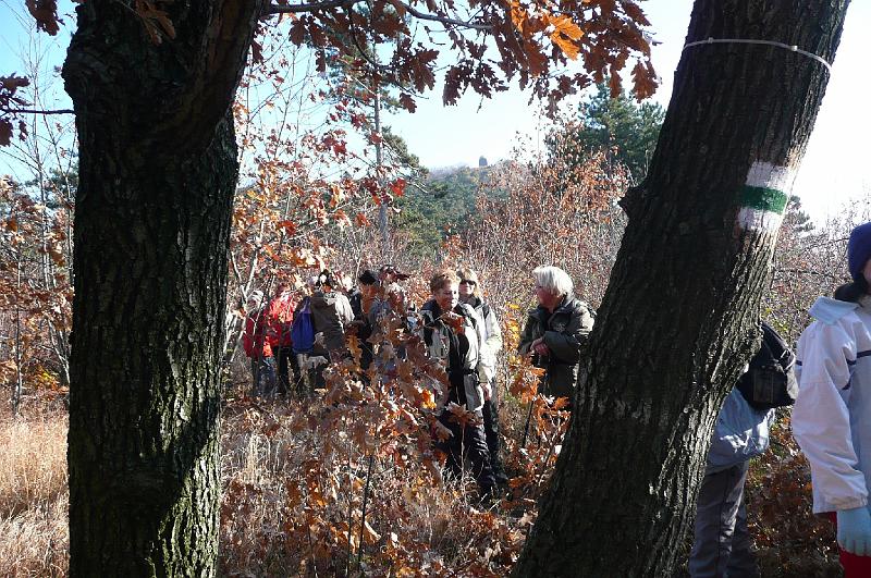 2011.11.12._076.jpg