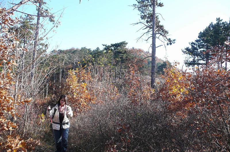 2011.11.12._080.jpg