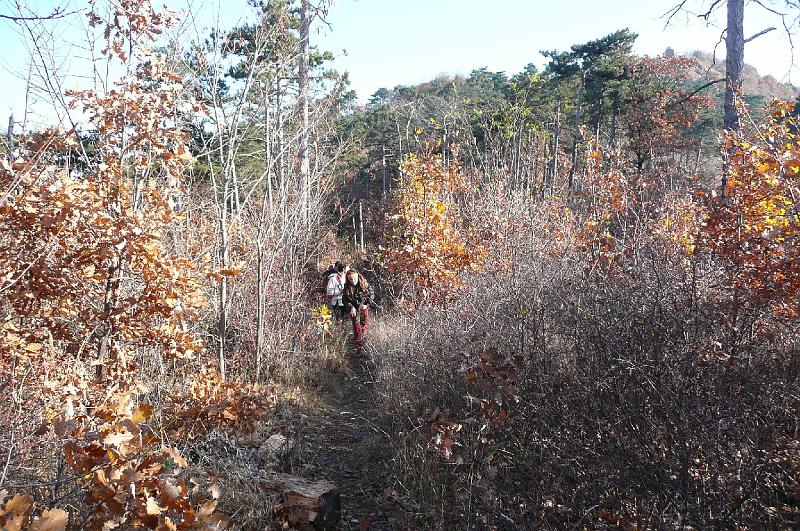 2011.11.12._081.jpg