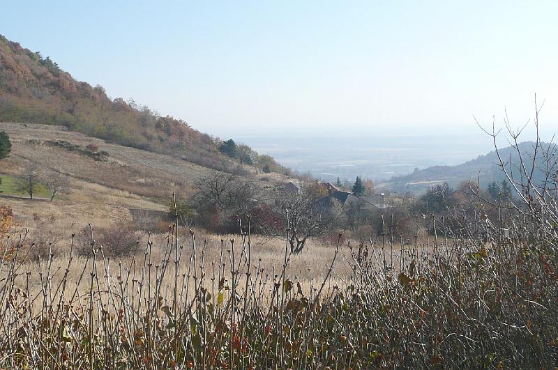 2011.11.12._084.jpg