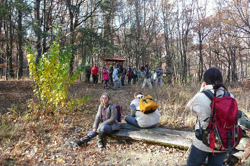 2011.11.12._087.jpg