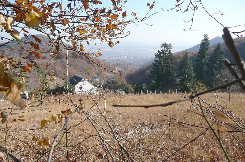 2011.11.12._092.jpg