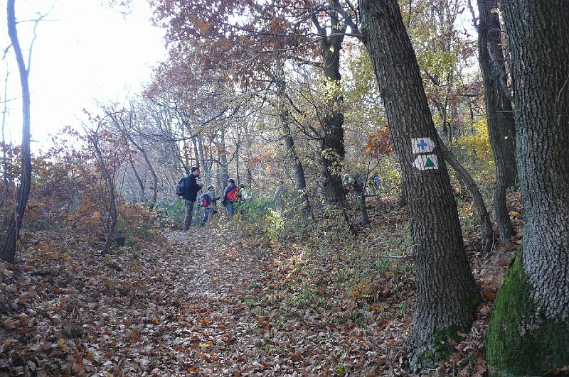2011.11.12._093.jpg