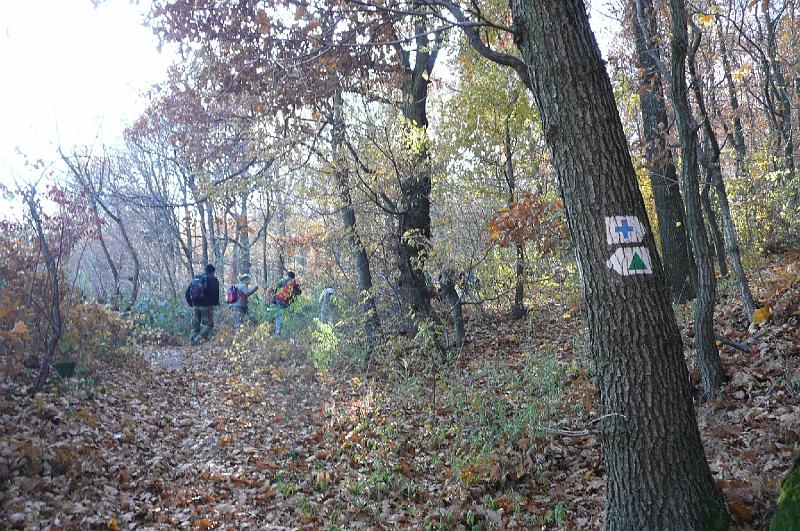 2011.11.12._094.jpg