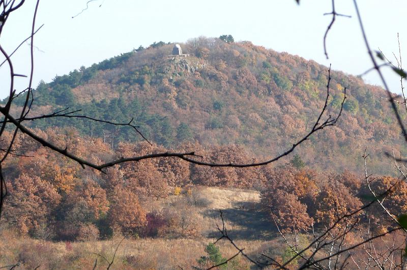 2011.11.12._097.jpg