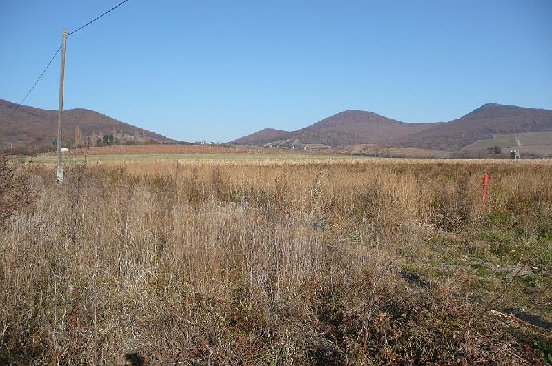 2011.11.12._115.jpg