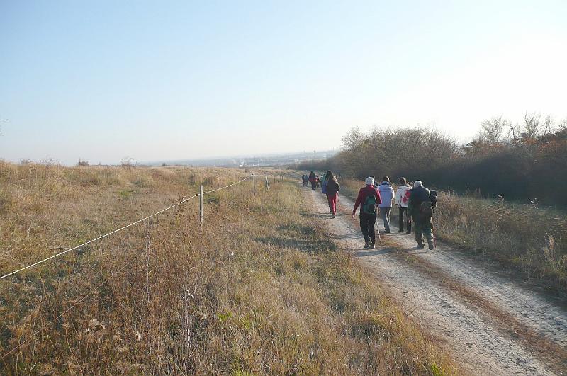 2011.11.12._180.jpg