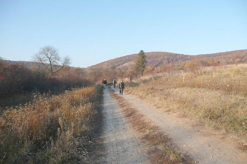 2011.11.12._181.jpg