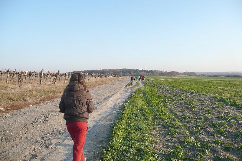 2011.11.12._182.jpg